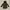 Tommy Hilfiger Outerwear Kids Green