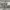 National Geographic Sportswear Sweatpants & Joggers Pria gray photo 3