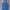 Lonsdale Gorpcore Casual Parka Pria Navy