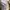 Y-3 Vintage Luxury T-shirt Pria cream photo 5