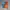 Nike Sportswear Pria orange blue photo 1