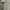 Beanpole Vintage Streetwear Casual shirt Pria cream tan photo 4