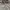 Beanpole Vintage Streetwear Casual shirt Pria cream tan photo 3