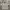 Beanpole Vintage Streetwear Casual Shirt Pria Cream Tan