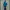 Uniqlo Streetwear Casual Bomber jacket Pria blue photo 2
