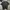 Carhartt Y2K Casual T-shirt Pria black photo 1