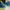 Adidas Sportswear Casual Sneakers Pria blue yellow photo 4