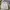EDWIN Casual Casual pants Pria khaki photo 4