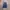 Onitsuka Tiger Casual Casual shoe Pria navy gray photo 5