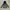 MLB Outerwear Kids blue gray photo 1