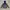 MLB Outerwear Kids blue gray photo 2