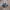 Adidas Casual Sneakers Wanita navy photo 1