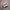 Adidas Casual Sneakers Wanita green gray photo 1