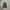Adidas Casual Sneakers Wanita green gray photo 5