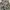 Stella McCartney Outerwear Kids multicolor gray photo 6