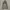 Stella McCartney Outerwear Kids multicolor gray photo 3
