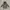 Stella McCartney Outerwear Kids multicolor gray photo 1