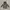 Stella McCartney Outerwear Kids Multicolor Gray