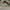 Stella McCartney Outerwear Kids multicolor gray photo 7