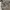 Stella McCartney Outerwear Kids multicolor gray photo 5
