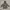 Stella McCartney Outerwear Kids multicolor gray photo 2