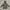 Stella McCartney Outerwear Kids Multicolor Gray