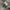 Stella McCartney Outerwear Kids multicolor gray photo 8