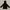 Berghaus Outerwear Kids Black Gray