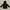 Berghaus Outerwear Kids black gray photo 1