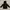 Berghaus Outerwear Kids Black Gray