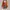 Y2K Coquette Cardigan Wanita orange photo 1