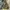 A Bathing Ape Streetwear Hoody Pria multicolor photo 1