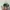 Polo Ralph Lauren Luxury Minimalist Hat Pria green photo 2
