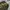 Timberland Minimalist Sweatshirt Pria green photo 1
