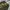 Timberland Minimalist Sweatshirt Pria Green