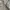 Timberland Minimalist Polo shirt Pria cream photo 6