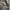 Dickies Streetwear Sweater Pria gray photo 7