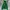 Nike Streetwear Hoody Pria green photo 3