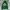 Nike Streetwear Hoody Pria green photo 2