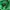 Nike Streetwear Hoody Pria green photo 4