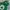 Nike Streetwear Hoody Pria green photo 1