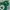 Nike Streetwear Hoody Pria Green