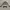 Abercrombie & Fitch Outerwear Kids silver photo 3