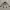 Abercrombie & Fitch Outerwear Kids silver photo 1
