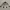 Abercrombie & Fitch Outerwear Kids Silver