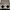Abercrombie & Fitch Outerwear Kids silver photo 6