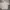 Nike Streetwear Sportswear Puffer jacket Pria tan photo 2