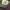 Chase Nascar Sportswear Hat Pria white photo 3
