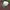 Chase Nascar Sportswear Hat Pria white photo 4