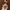 Anna Sui Luxury Casual Wanita white photo 7